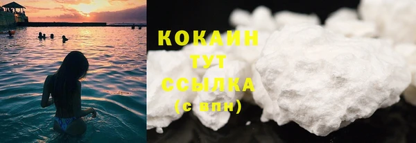 индика Покровск